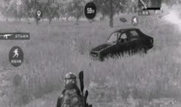 吃鸡新枪皮爆料最新,神秘新枪惊艳亮相，玩家热议不已！